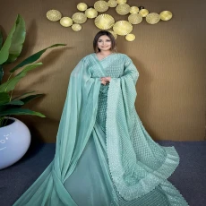 Light Pesta Soft Chiffon Georgette Saree