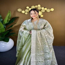 Mint Green Silver Grace – Premium High Grade Stone Saree ✨