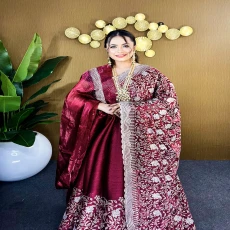 Maroon Silver Grace – Premium High Grade Stone Saree ✨