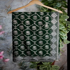 Green Siroski Stone Elegant Party Wear Saree
