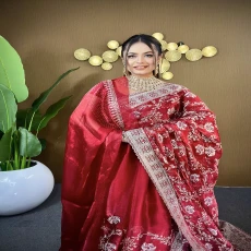 Red jemi Chu Georgette Siroski Stone party Saree